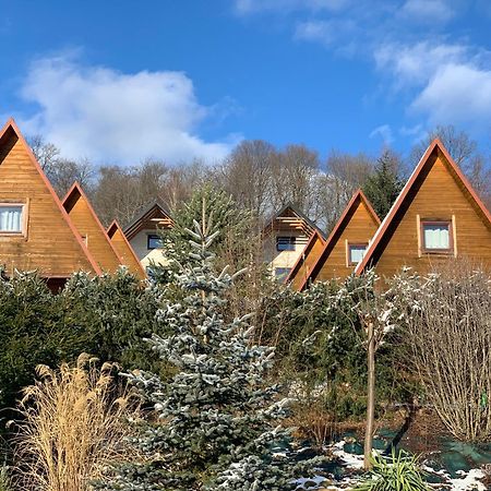Domki Nad Solina Czarny Kot 509-797-777 Экстерьер фото