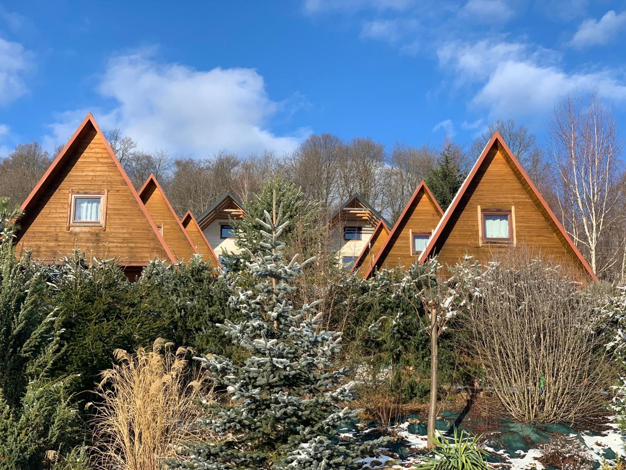 Domki Nad Solina Czarny Kot 509-797-777 Экстерьер фото