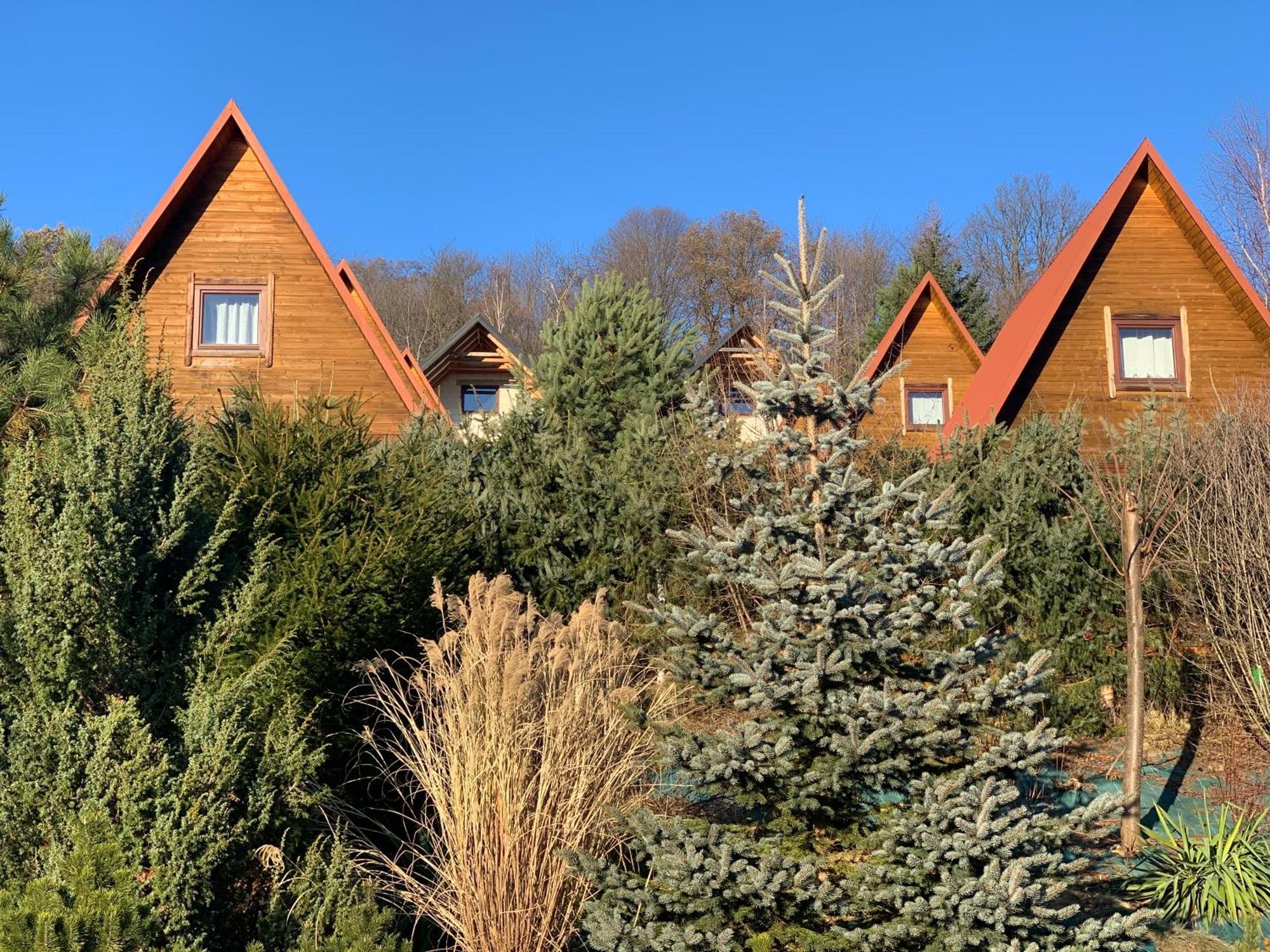 Domki Nad Solina Czarny Kot 509-797-777 Экстерьер фото